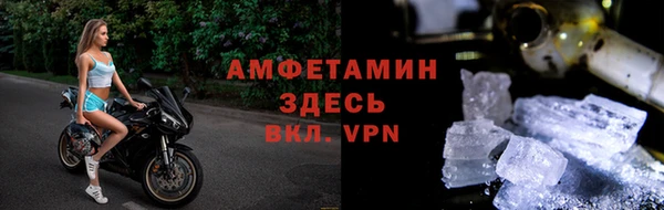гидра Абаза