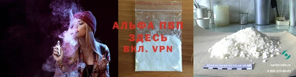 гидра Абаза