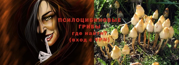 PSILOCYBIN Абдулино