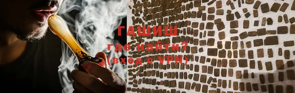 гидра Абаза