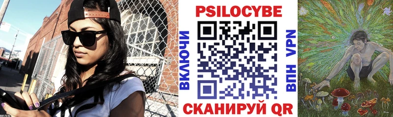 мега ссылки  где купить наркоту  Щёлкино  Псилоцибиновые грибы Psilocybe 